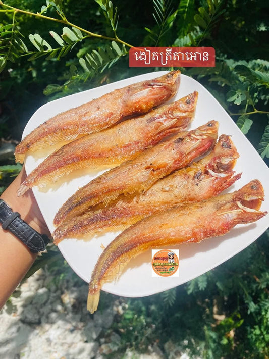 Dry fish ( ត្រីតែអោន ) 500g/bag