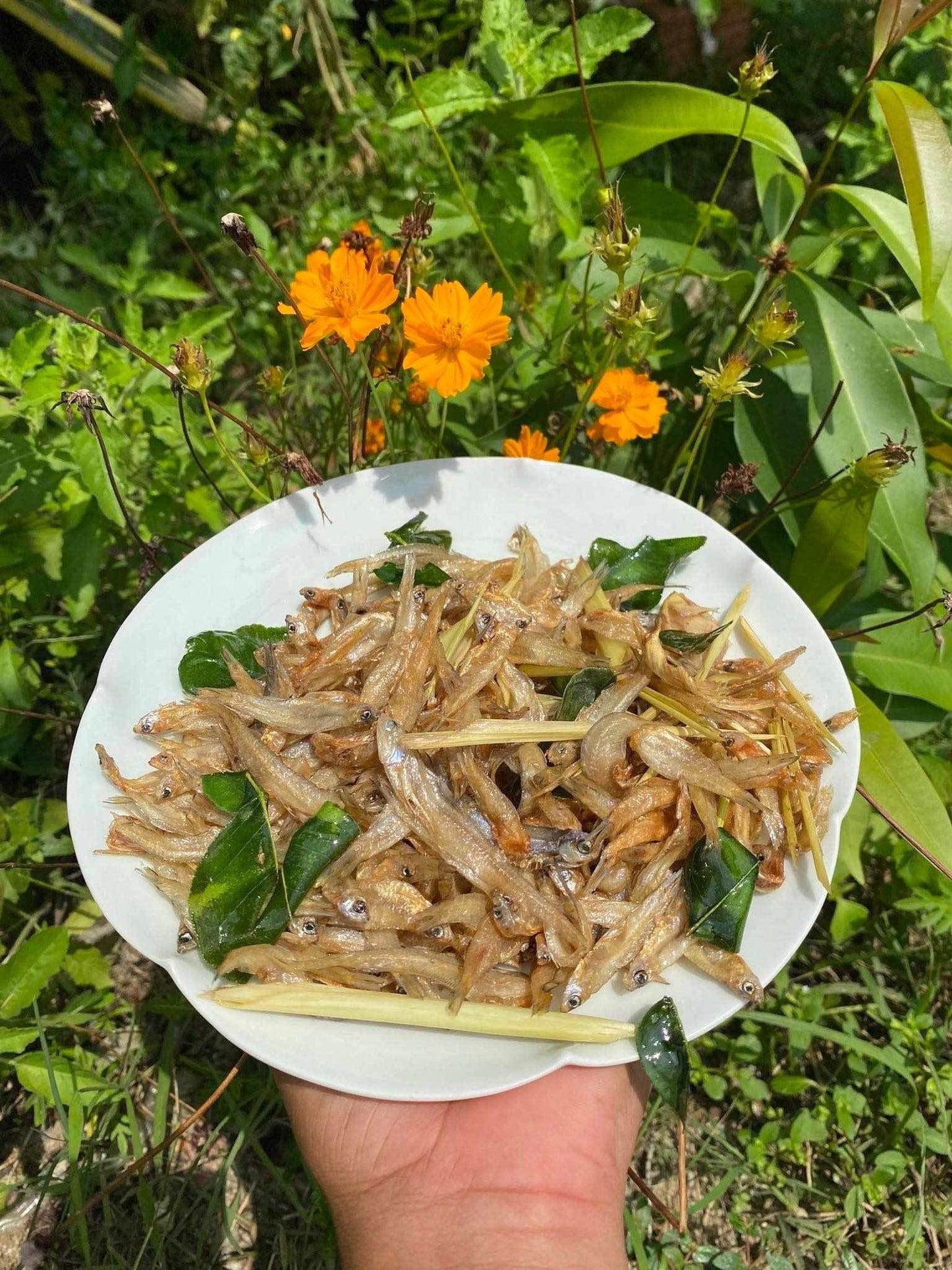 Mini mini dry fish marinated 500g/bag