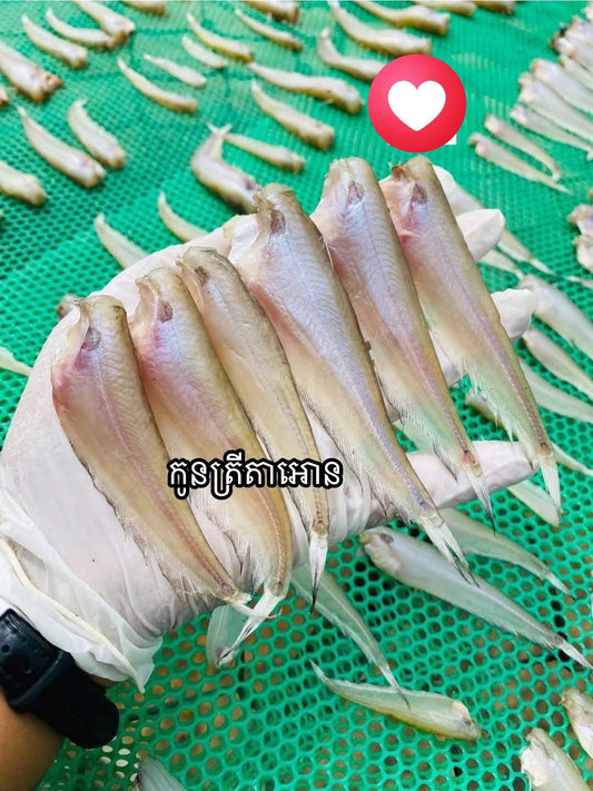 Mini dry fish ( កូនត្រីតាអោន )500g/bag