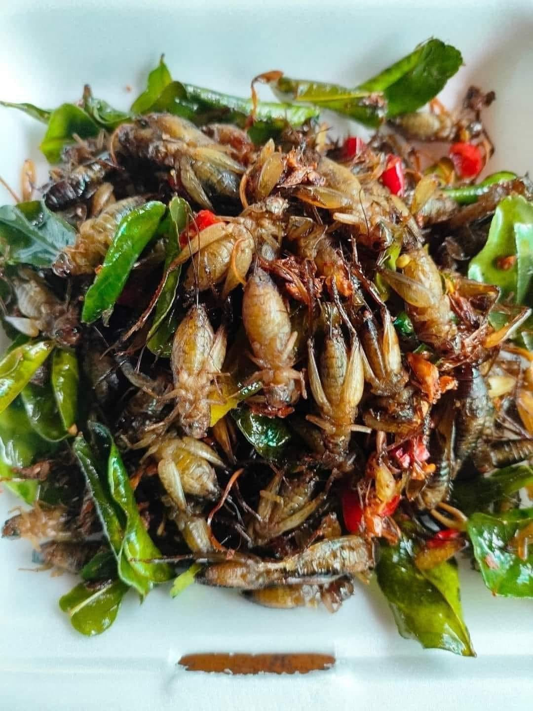 ចង្រិតពងពេញពោះធ្វើឆ្អិនស្រាប់ 500g/bag